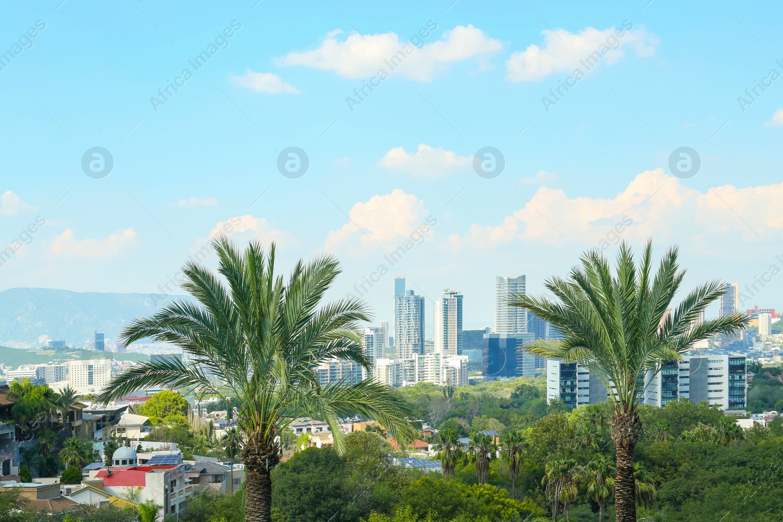 Photo of Picturesque view of city with buildings and beautiful palms on sunny day