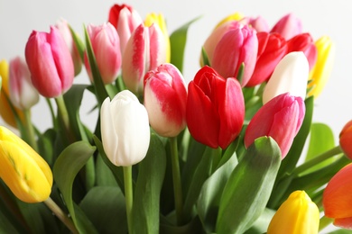 Photo of Beautiful bouquet of bright tulip flowers on light background, closeup