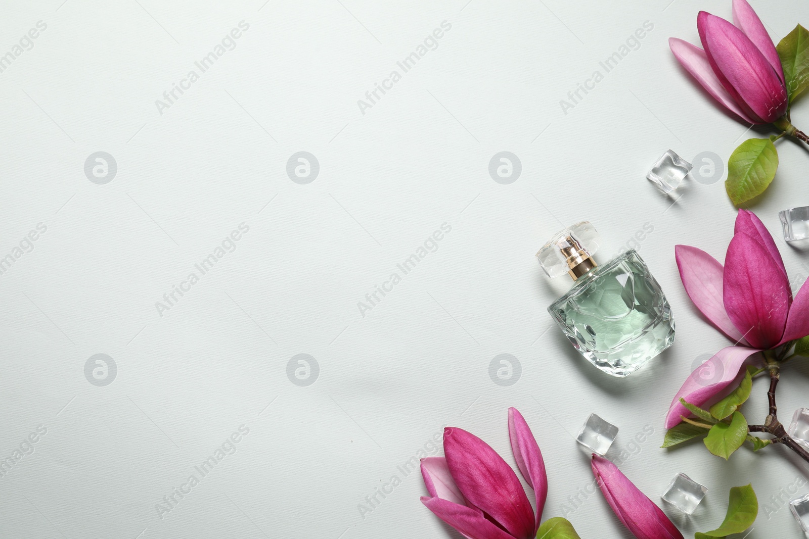 Photo of Beautiful pink magnolia flowers, bottle of perfume and ice cubes on light grey background, flat lay. Space for text