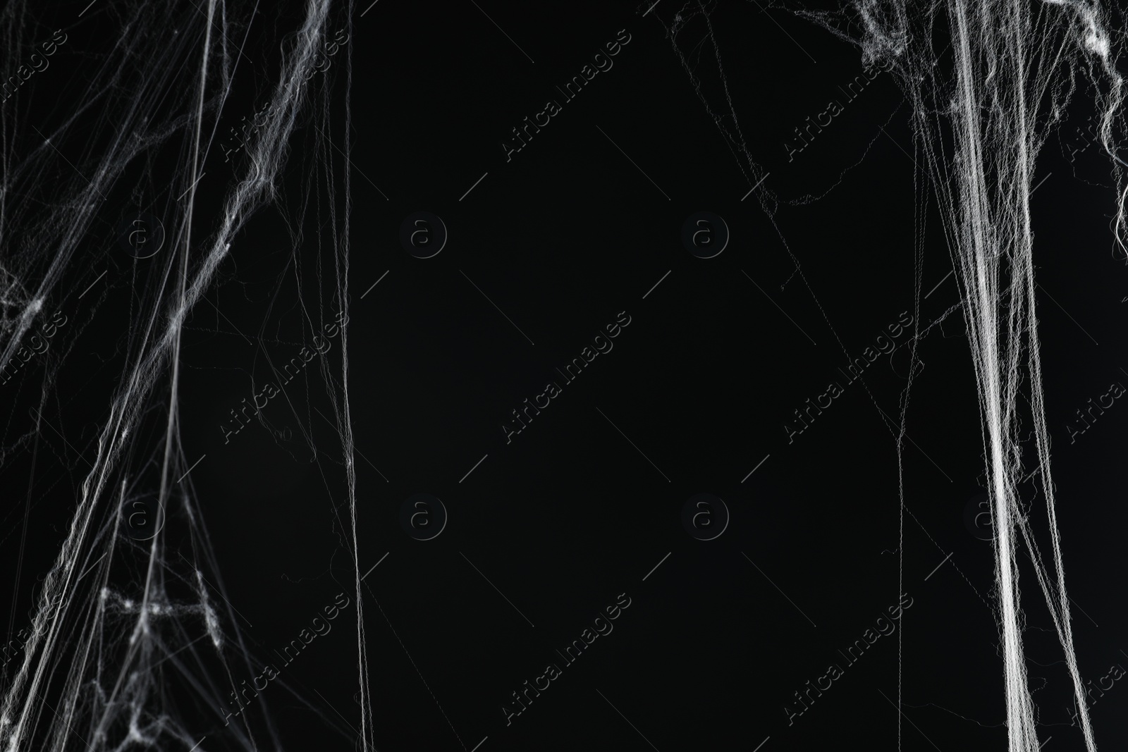 Photo of Creepy white cobweb on black background, space for text