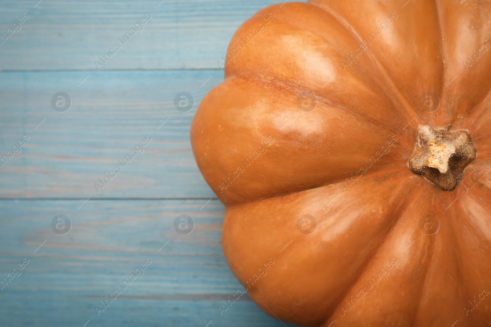 Photo of Fresh ripe pumpkin on turquoise wooden table, top view. Space for text