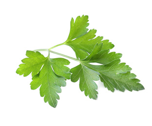 Photo of Fresh green organic parsley isolated on white