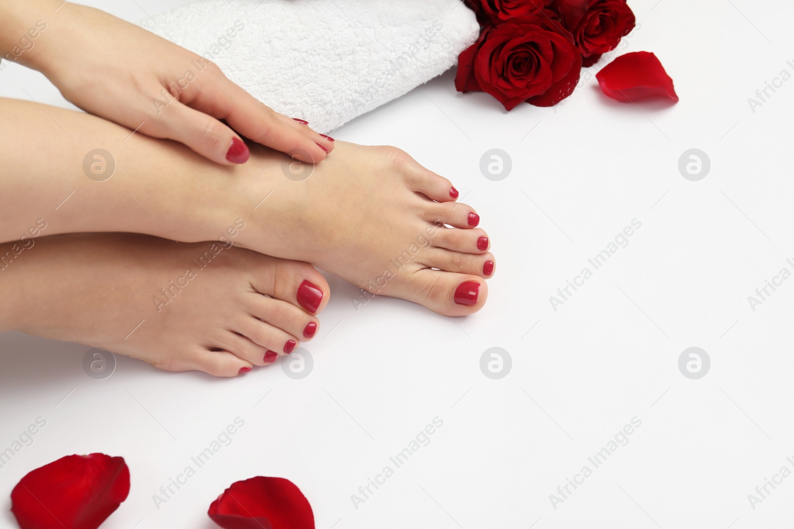 Photo of Woman with stylish red toenails after pedicure procedure and rose flowers on white background, top view. Space for text