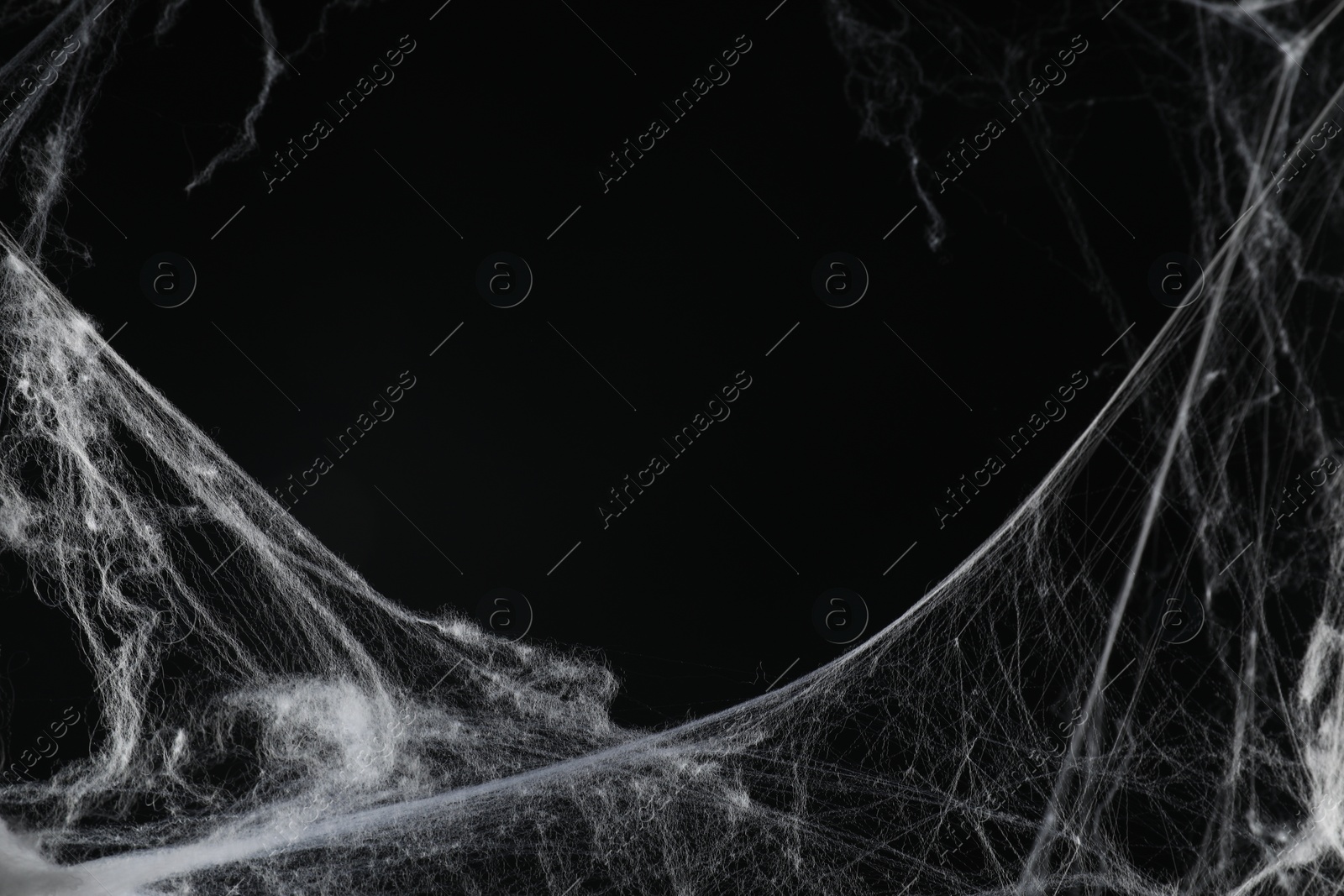 Photo of Creepy white cobweb on black background, closeup
