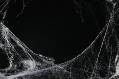 Creepy white cobweb on black background, closeup