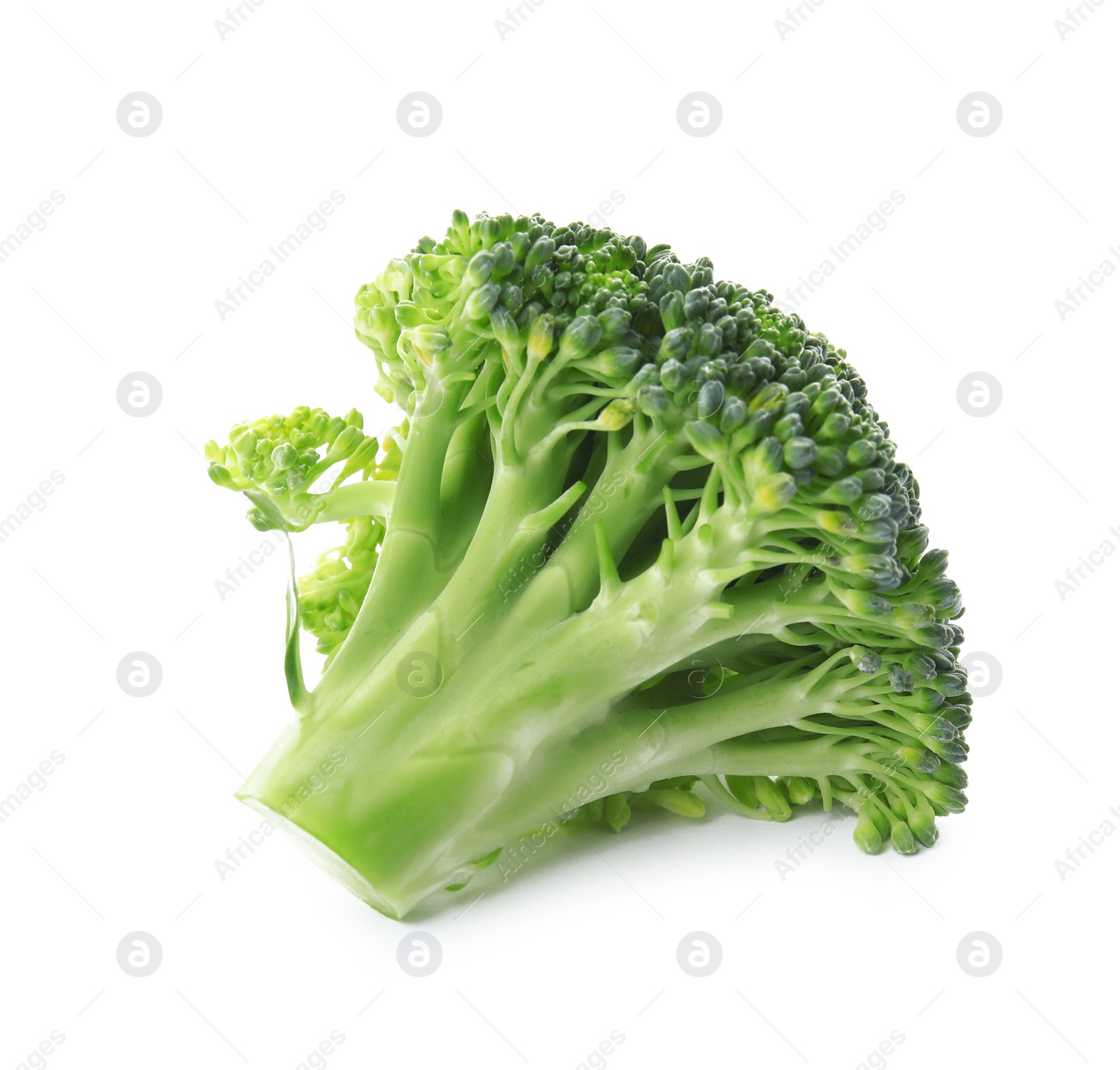 Photo of Fresh broccoli isolated on white. Edible green plant