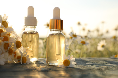 Photo of Bottles of essential oil and chamomiles on blue wooden table in field. Space for text