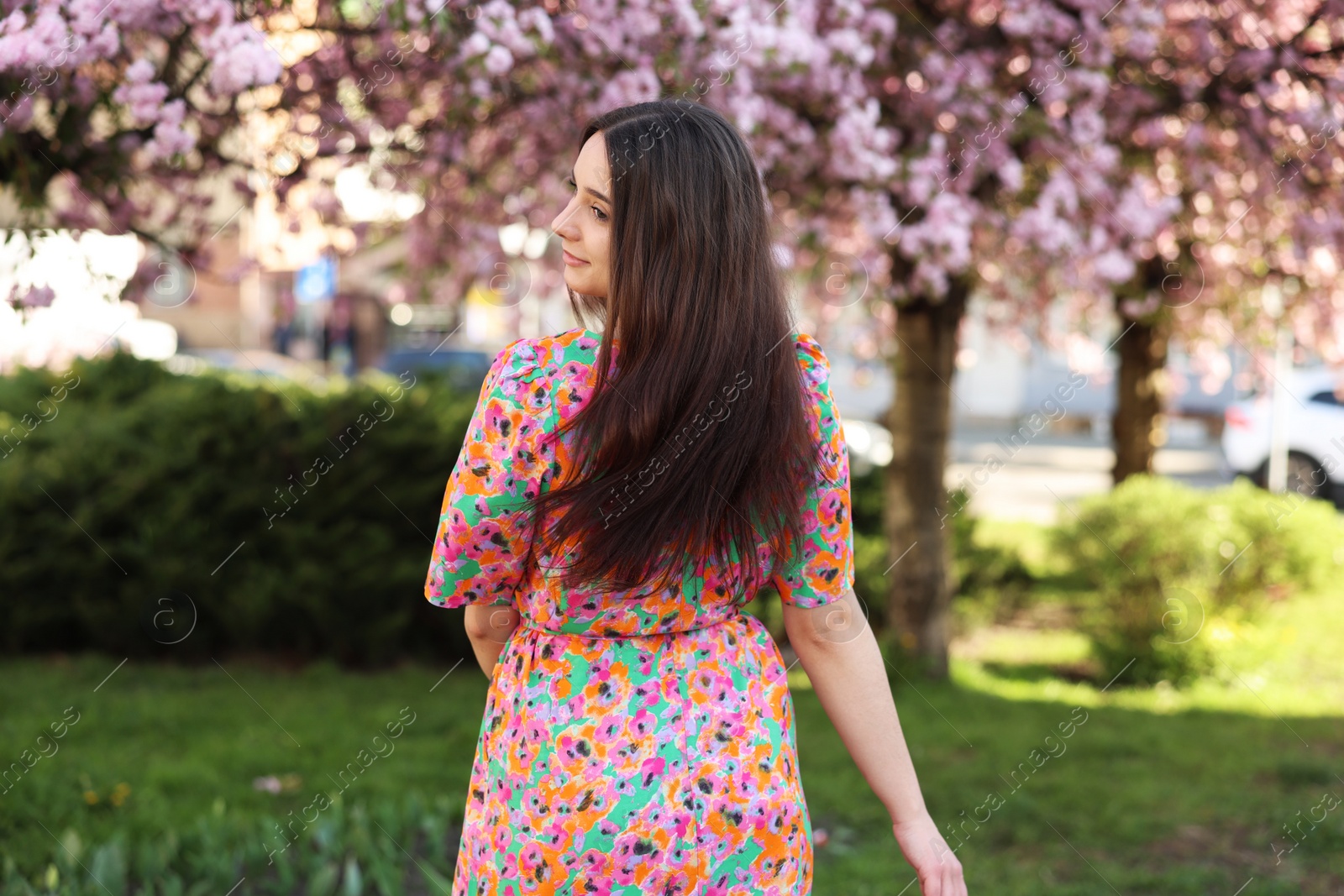 Photo of Beautiful woman near blossoming trees on spring day