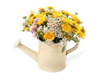 Photo of Beautiful bouquet of bright wildflowers in watering can isolated on white