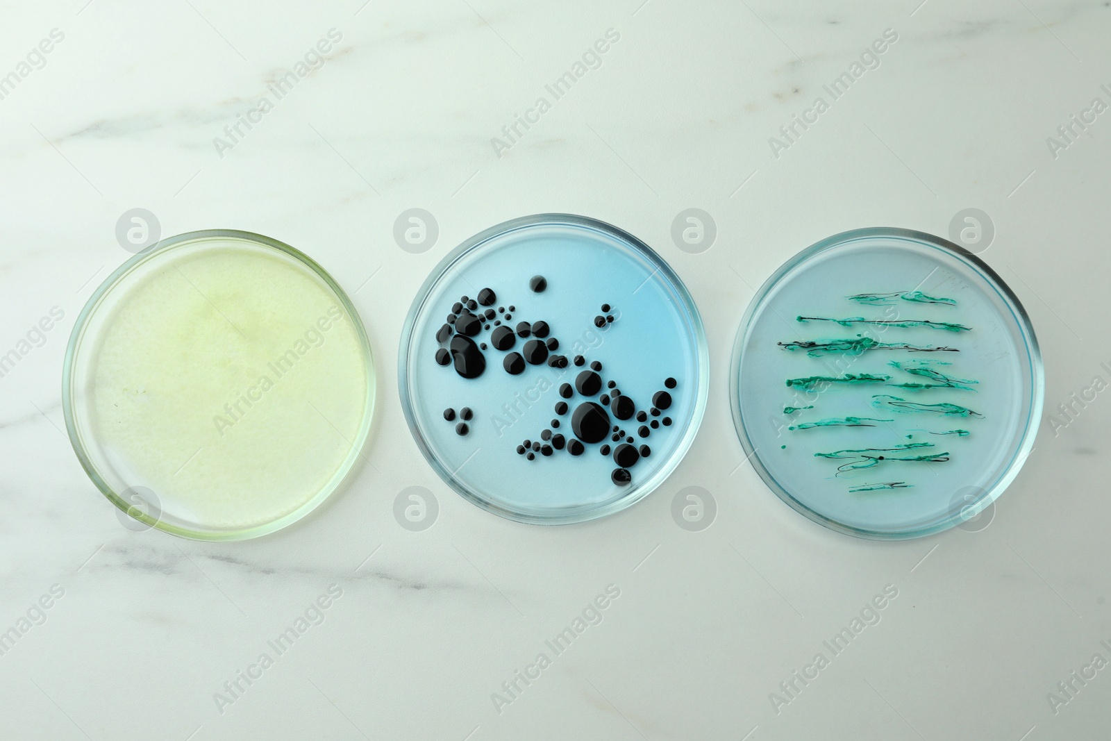 Photo of Petri dishes with different bacteria colonies on white marble table, flat lay