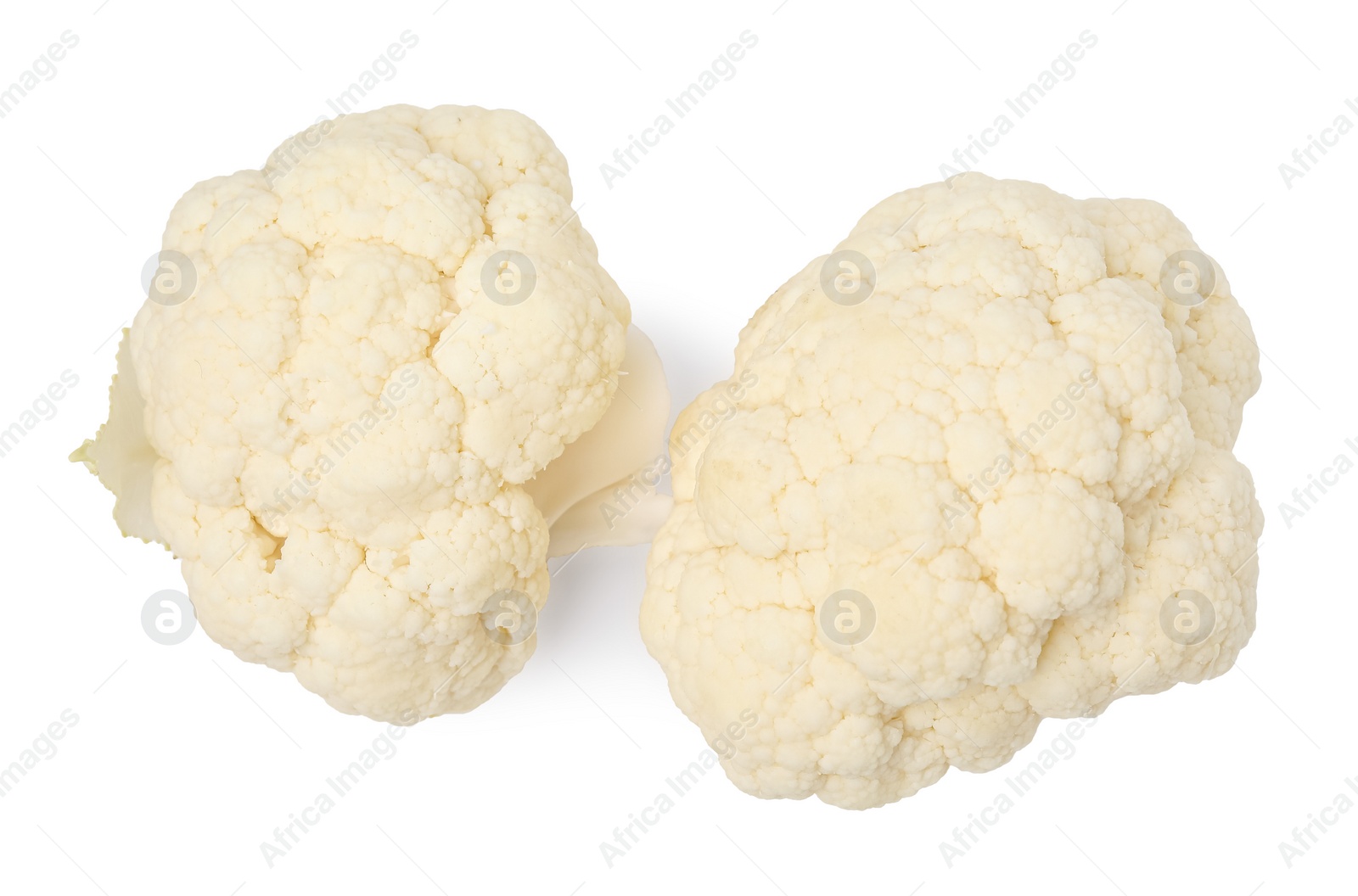 Photo of Cut fresh raw cauliflowers on white background, top view