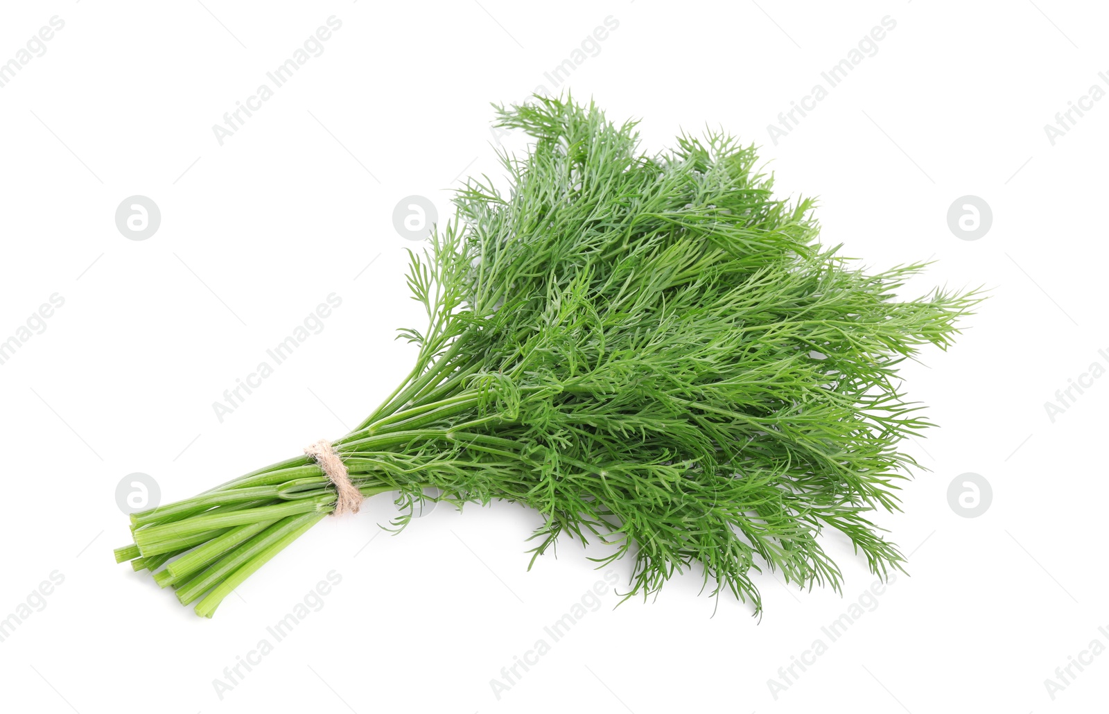 Photo of Bunch of fresh green dill isolated on white