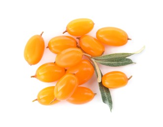 Fresh ripe sea buckthorn berries with leaves on white background, top view