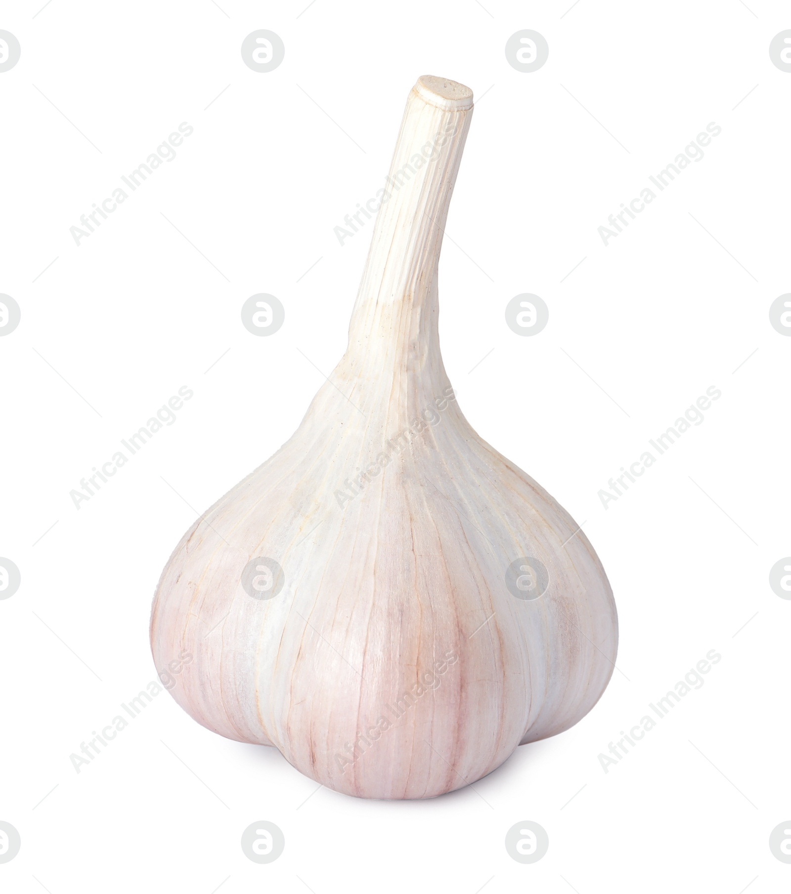 Photo of Fresh organic garlic bulb on white background