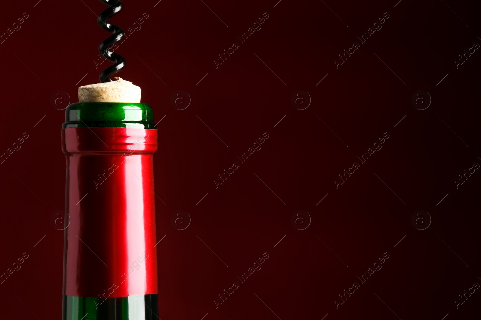 Photo of Opening bottle of wine with corkscrew on burgundy background. Space for text