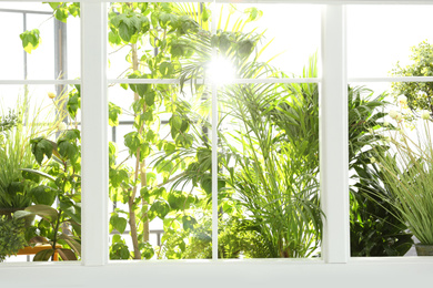 Photo of Beautiful view through window on garden in morning