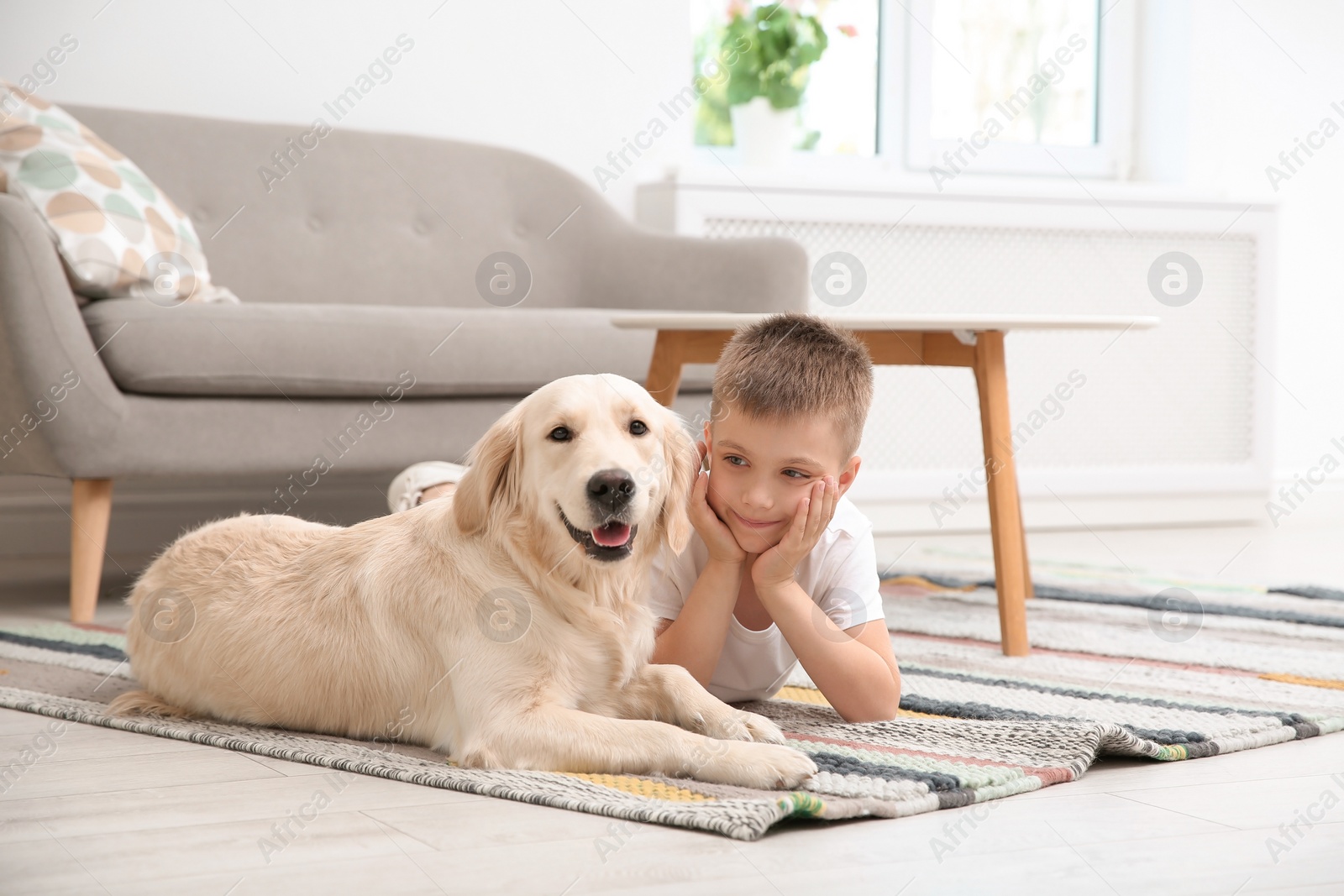 Photo of Cute little child with his pet on floor at home