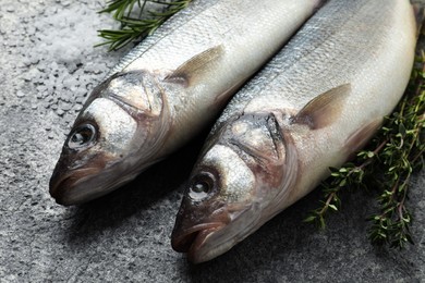 Tasty sea bass fish on grey textured table, closeup