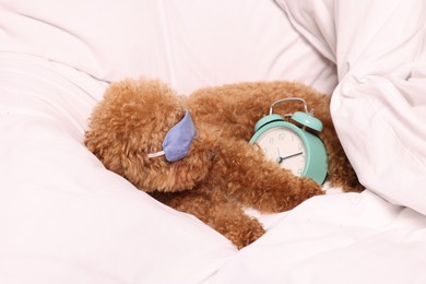 Photo of Cute Maltipoo dog with sleep mask and alarm clock resting on soft bed