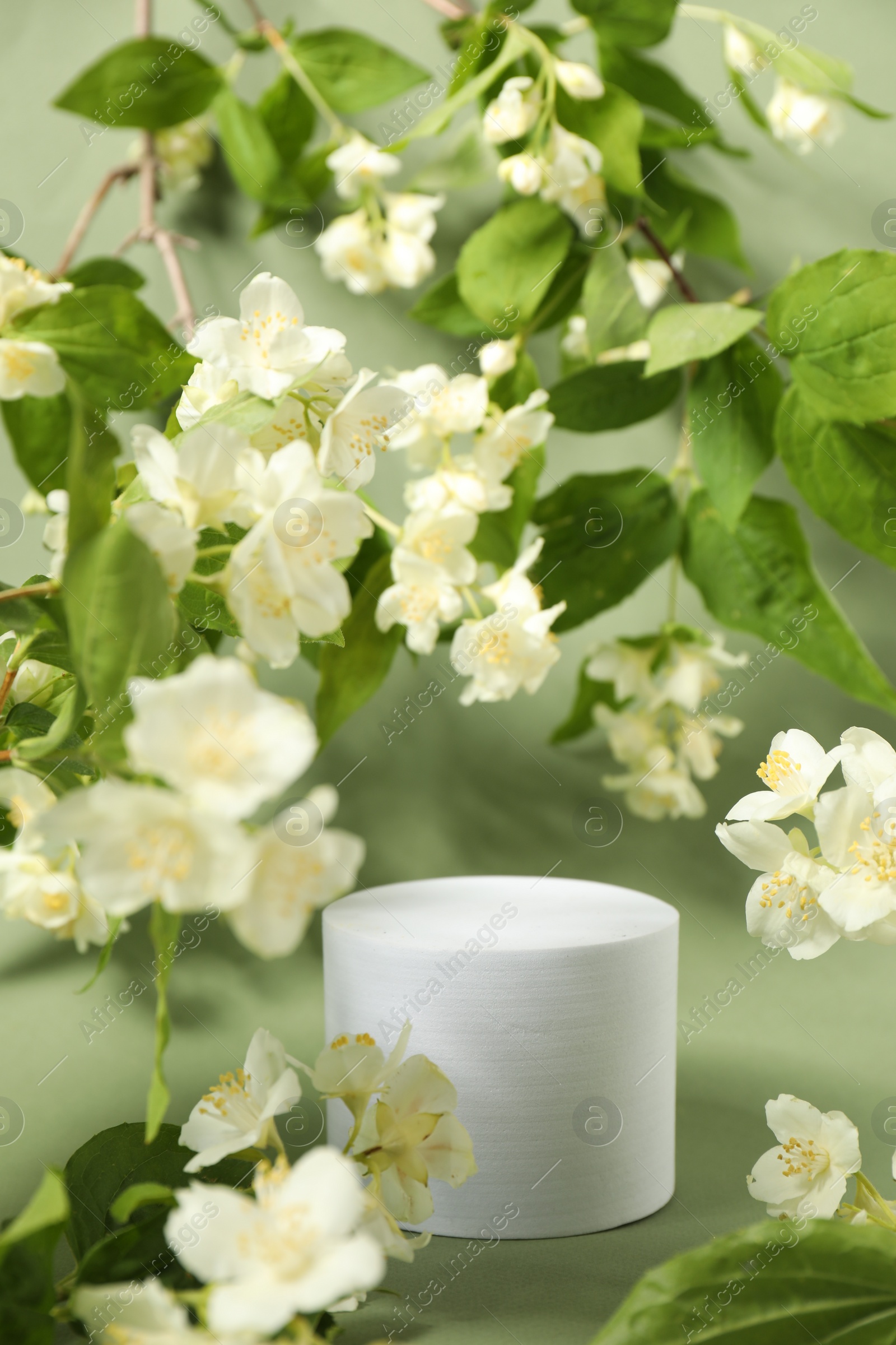 Photo of Presentation of product. White podium among beautiful jasmine flowers on pale green background, space for text