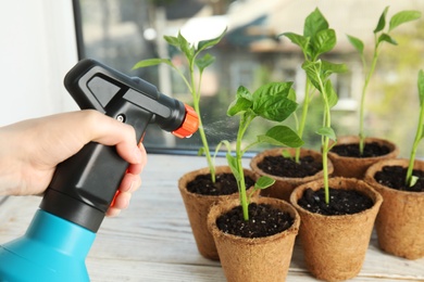 Woman spraying vegetable seedlings on wooden window sill, closeup