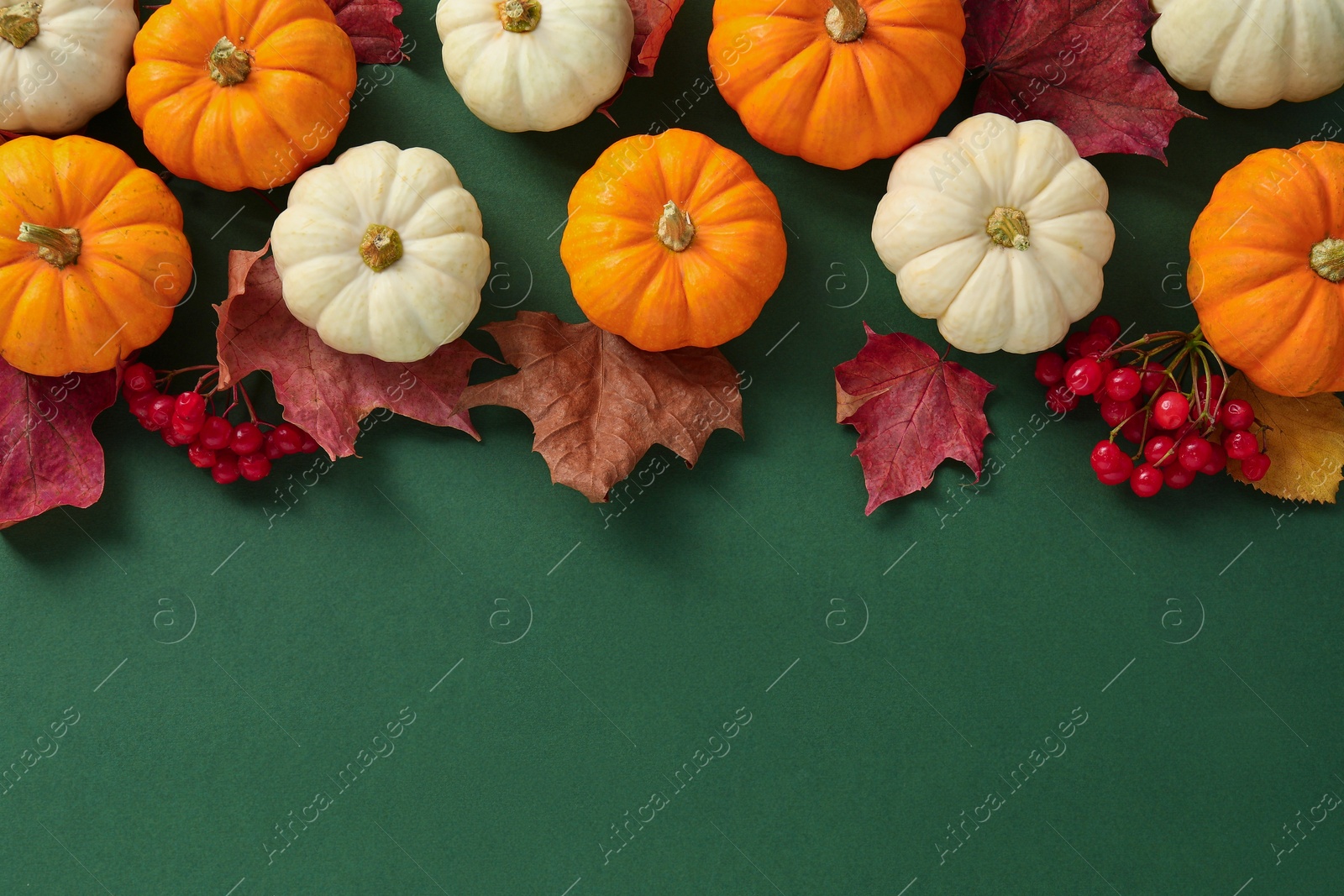 Photo of Happy Thanksgiving day. Flat lay composition with pumpkins on green background, space for text