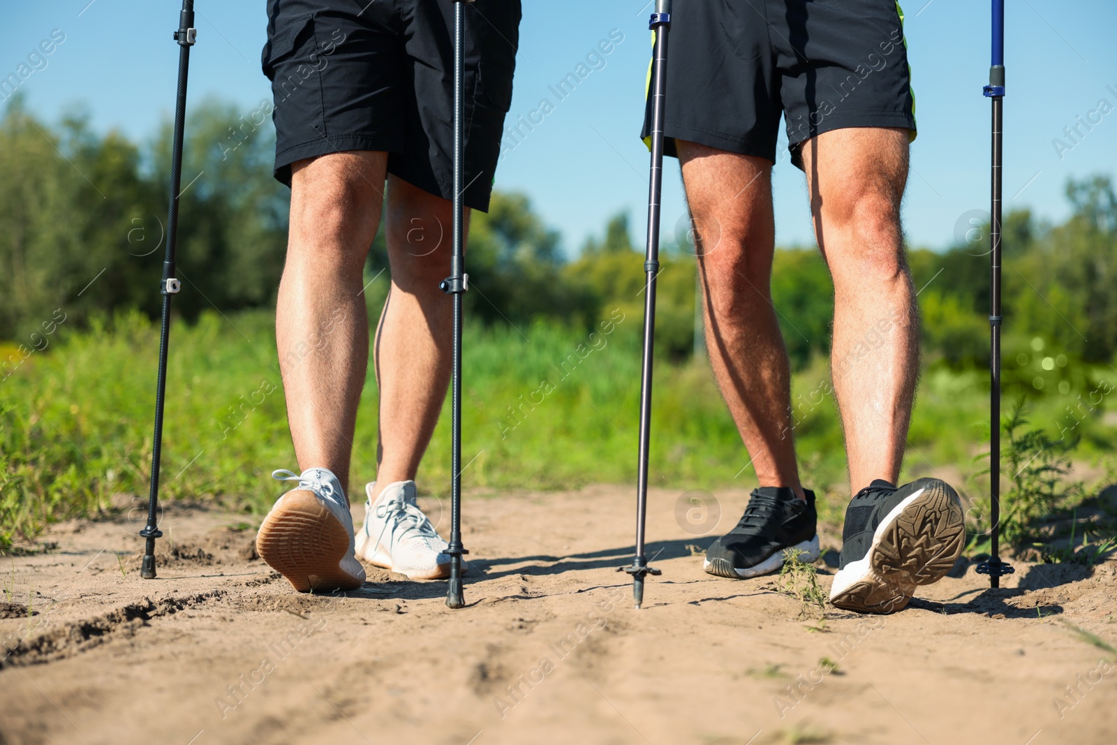 Photo of Men practicing Nordic walking with poles outdoors on sunny day, closeup