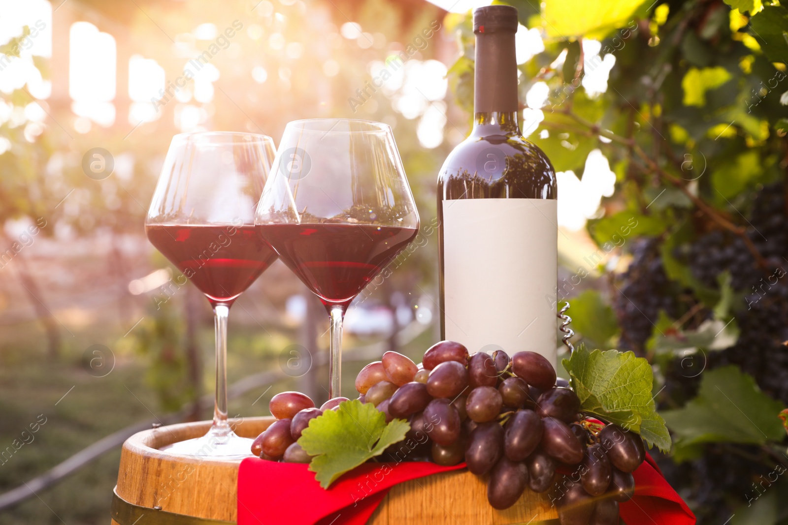 Photo of Composition with wine and ripe grapes on barrel in vineyard