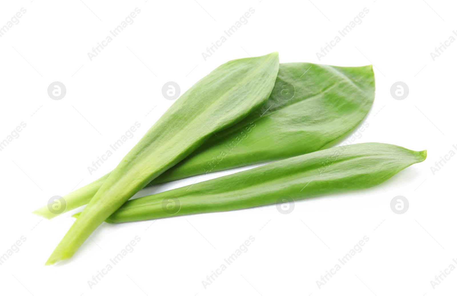 Photo of Leaves of wild garlic or ramson isolated on white