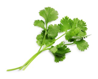 Photo of Fresh green coriander leaves on white background, top view