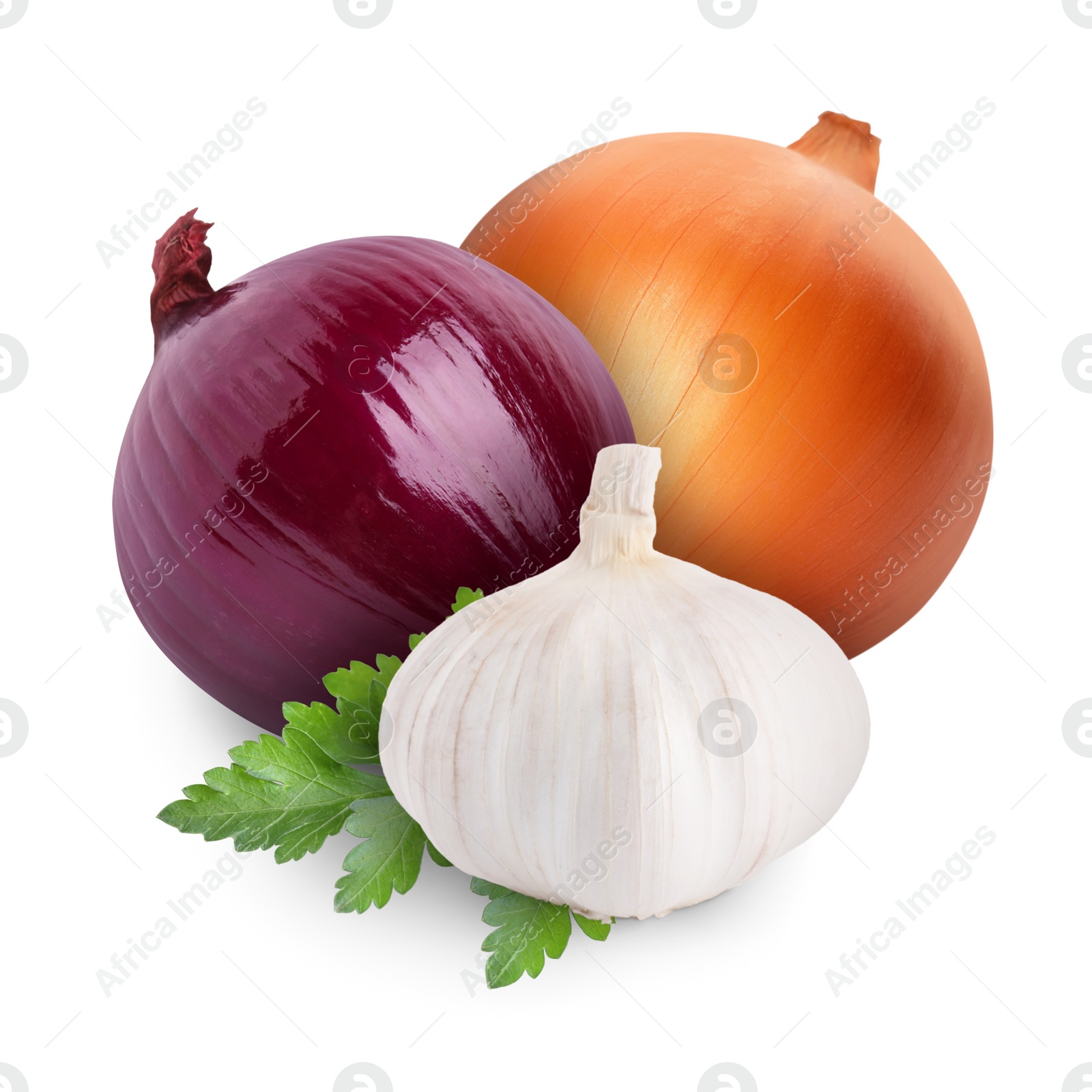 Image of Garlic, parsley, red and yellow onion bulbs isolated on white