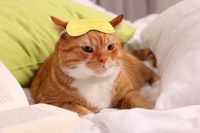 Photo of Cute ginger cat with sleep mask and book resting on bed