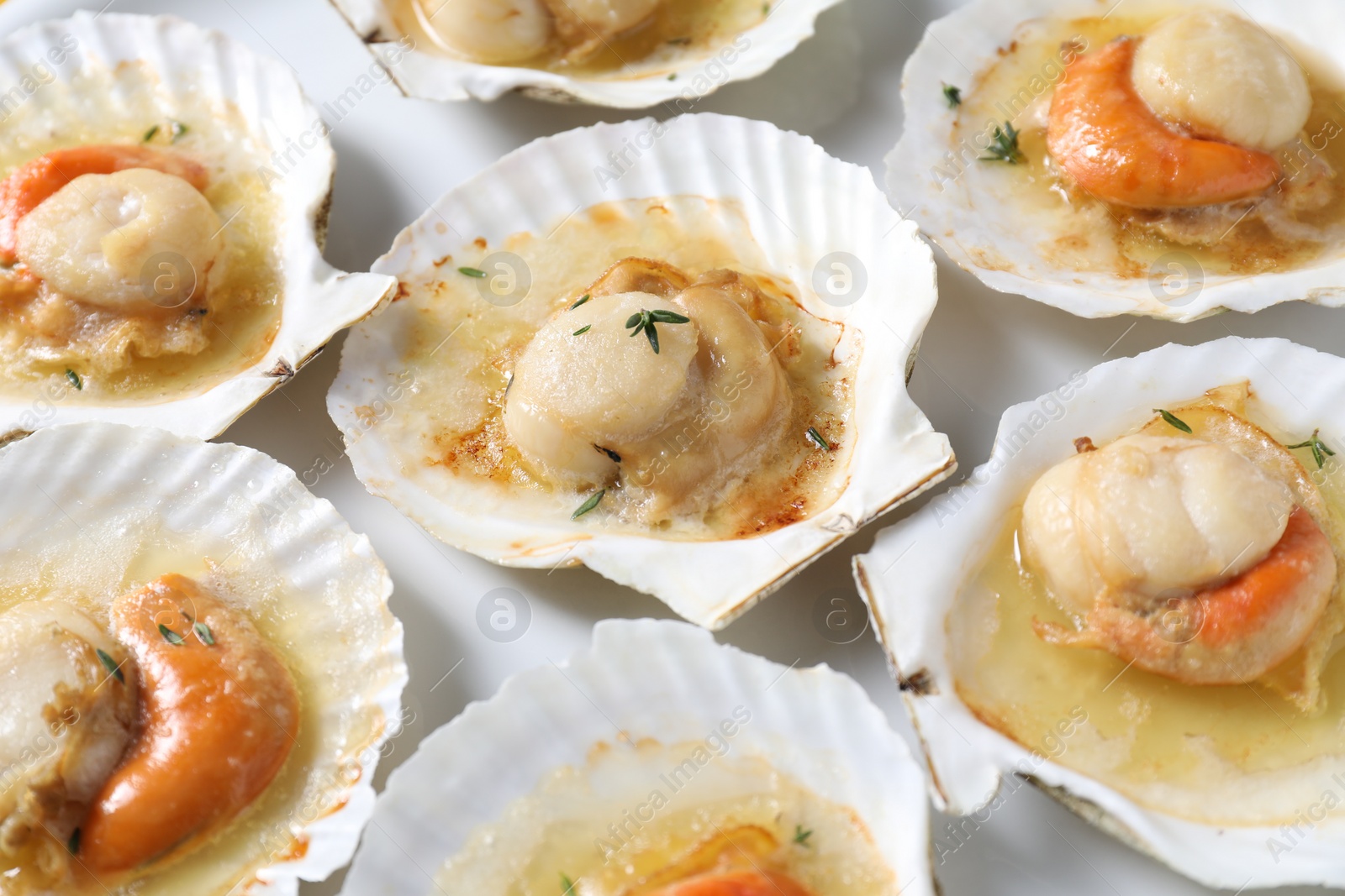 Photo of Fried scallops in shells on plate, closeup