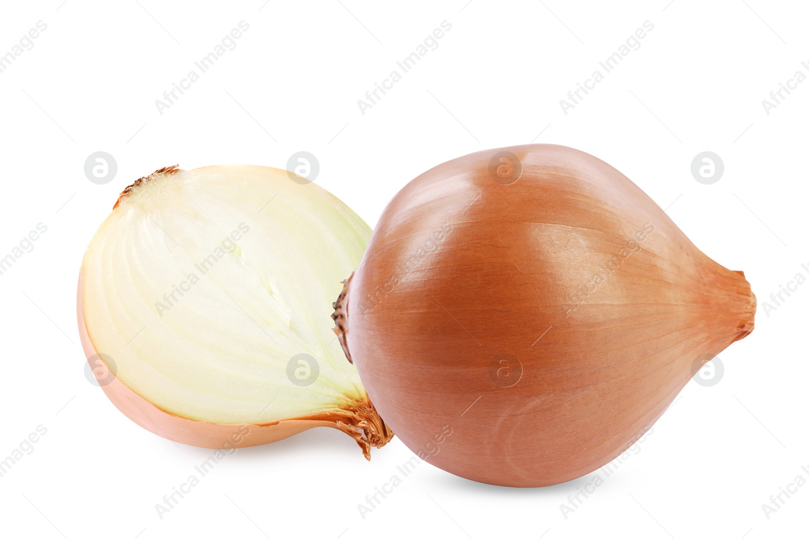 Image of Whole and cut onion bulbs isolated on white