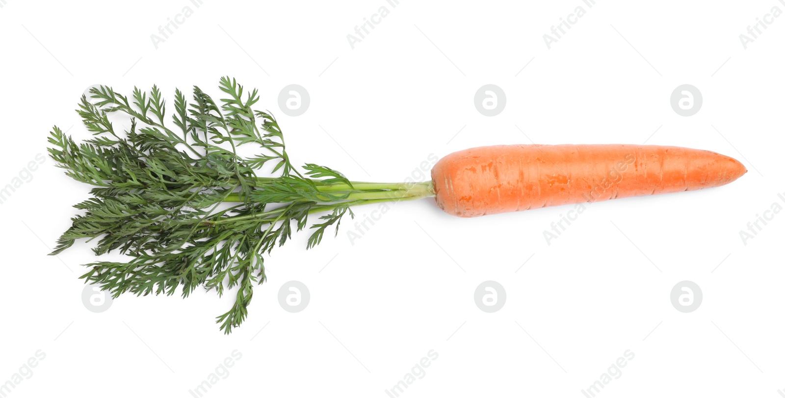 Photo of Tasty ripe organic carrot isolated on white, top view