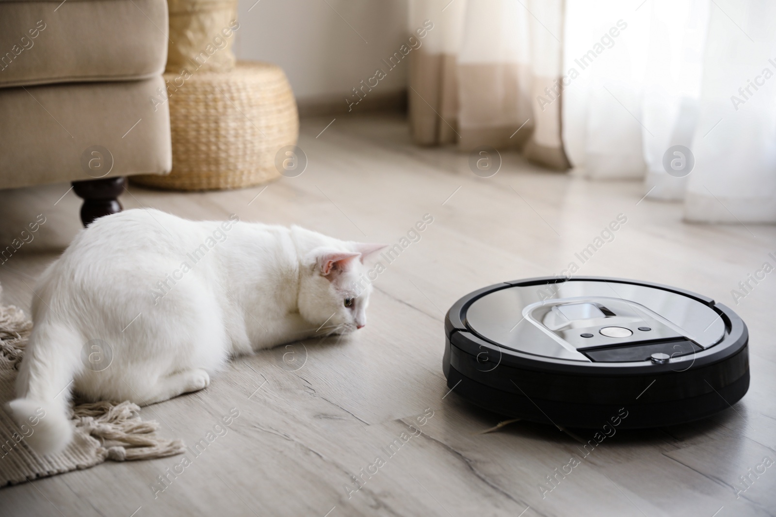 Photo of Modern robotic vacuum cleaner and cute cat on floor indoors