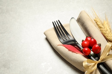 Photo of Cutlery, rosehip berries and napkin on light table, closeup with space for text. Thanksgiving Day