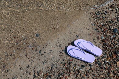 Photo of Stylish violet flip flops on beach pebbles, above view. Space for text