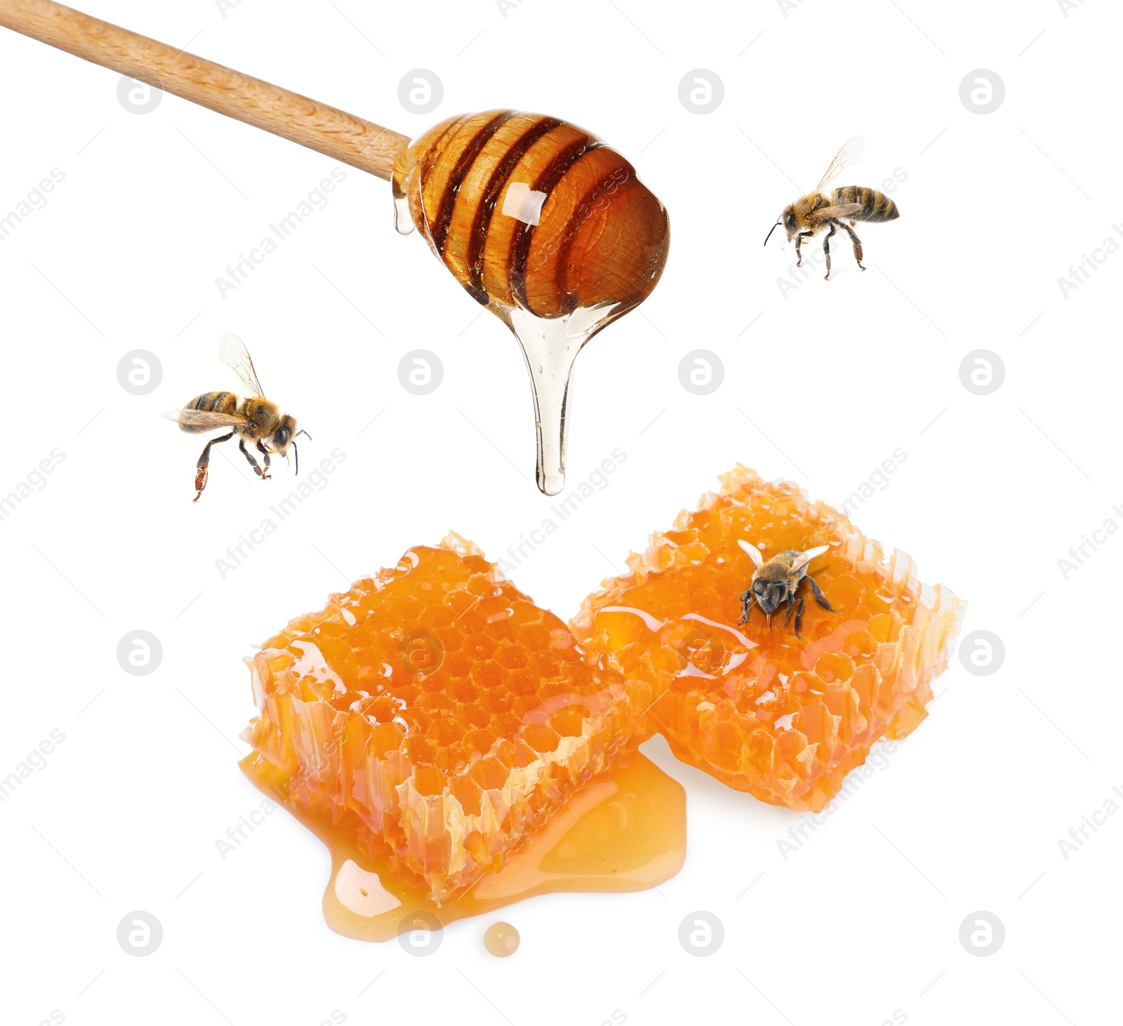 Image of Dripping tasty honey from dipper onto honeycombs and bees on white background