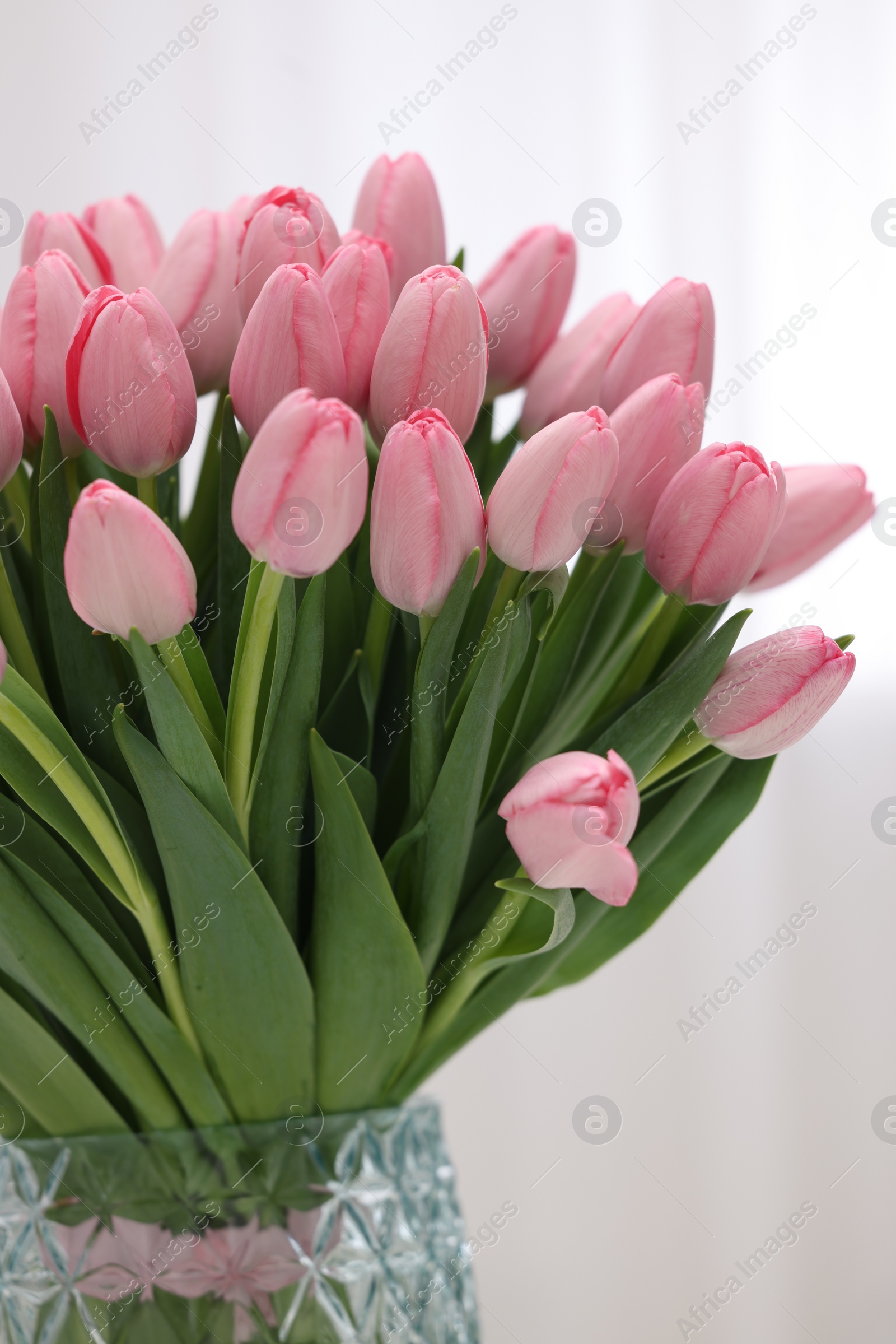 Photo of Bouquet of beautiful pink tulips on blurred background, closeup