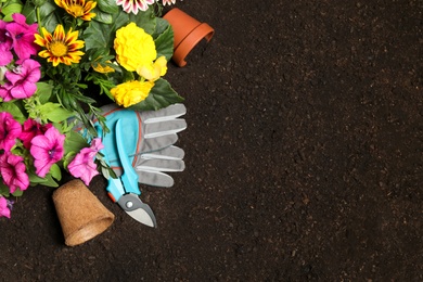 Flat lay composition with gardening tools and flowers on soil, space for text