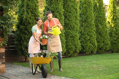 Happy couple working together in green garden