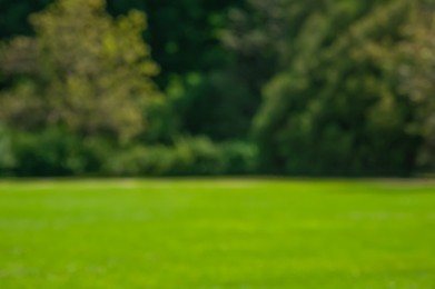 Blurred view of beautiful green lawn with freshly mown grass in park