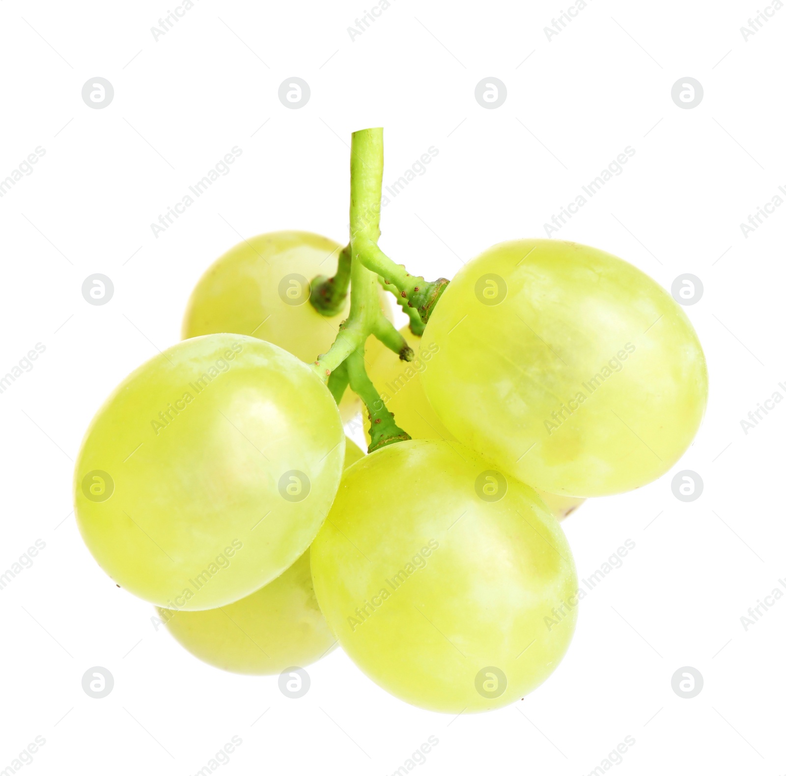 Photo of Fresh ripe juicy grapes isolated on white