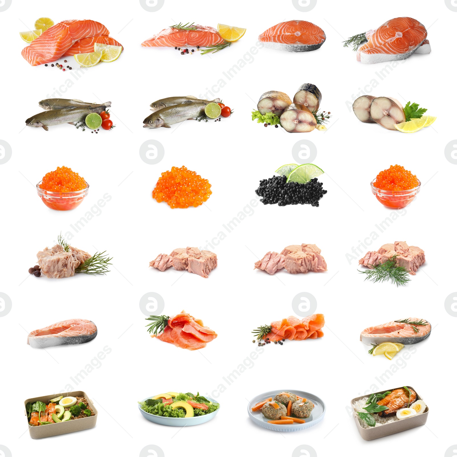 Image of Set of different seafood on white background. Fish delicacy