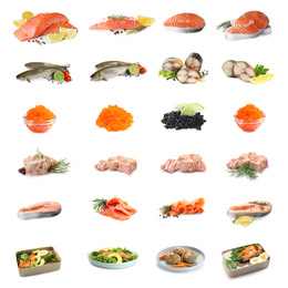 Image of Set of different seafood on white background. Fish delicacy