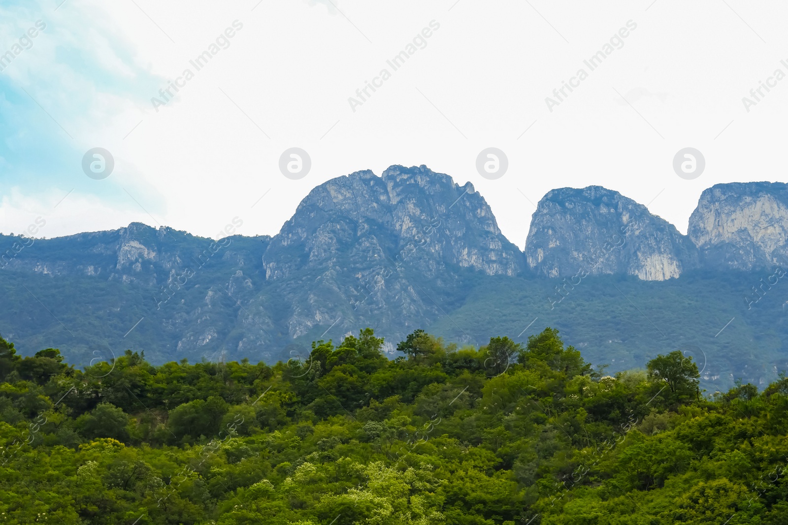 Photo of Beautiful view of green trees and mountains