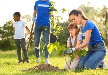 Kids planting trees with volunteers in park