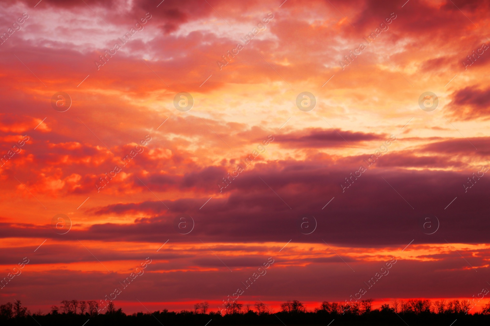 Image of Beautiful view of orange sky with clouds at sunset