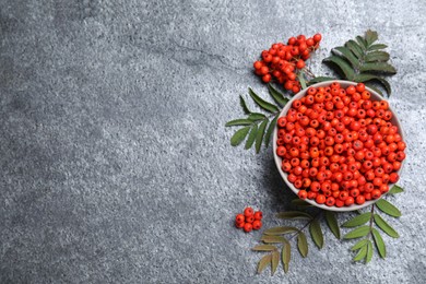 Fresh ripe rowan berries and leaves on grey table, flat lay. Space for text